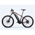 Angepasstes Off Road Electric Bike