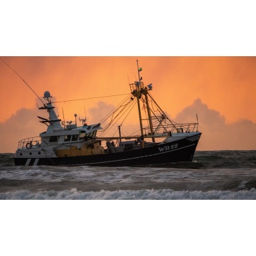 Reparación y mantenimiento de barcos pesqueros experimentados