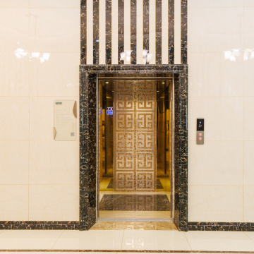 Ascenseurs professionnels 800 kg 10 personnes ascenseurs de passagers