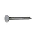 2 inch common nail iron nail