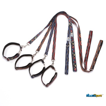 Flowing Art Dog Traction Set Dog Leashes