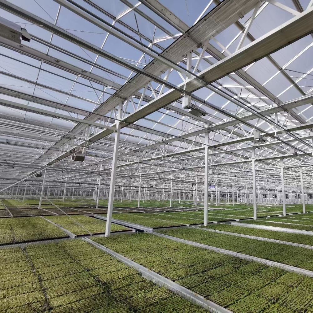 Arched PC Greenhouse Arched PC Greenhouse