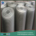 welded wire mesh galvanized welded mesh roll