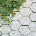 PVC Coated Hexagonal Poultry Chicken Wire Netting