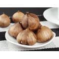 Best Price Peeled Single Back Garlic