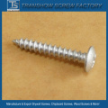 Truss Head Self Tapping Screw