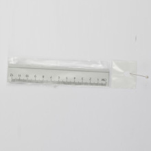 Règle en plastique 12CM