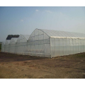 Hochfestes landwirtschaftliches Polytunnel -Tomaten Gewächshaus