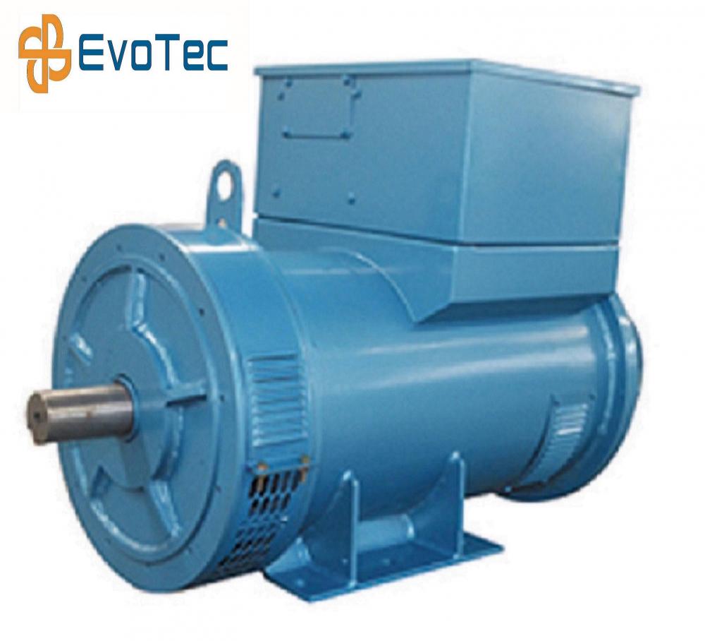 Blue Double Bearing Marine Generator