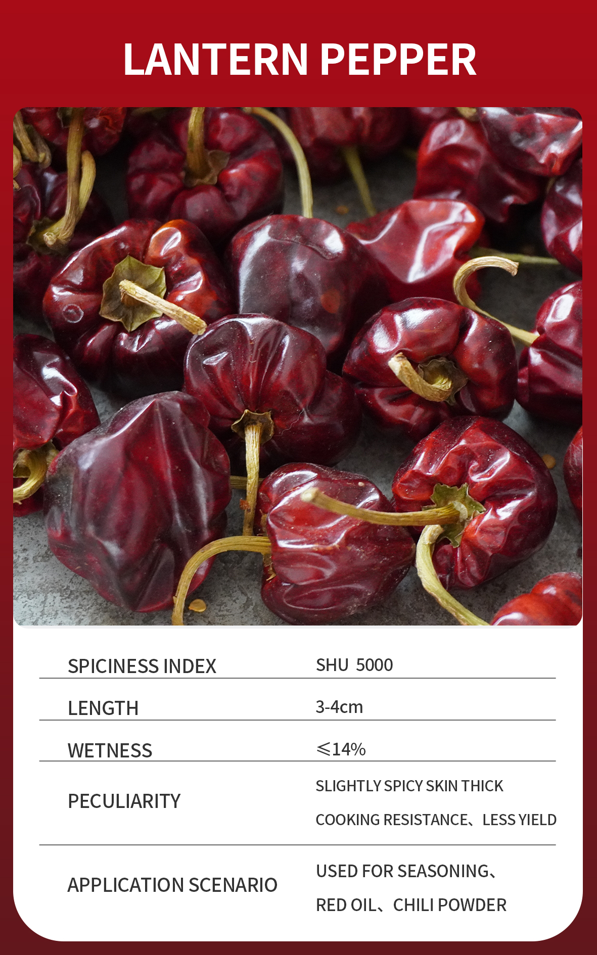 Lantern Pepper Lantern Pepper