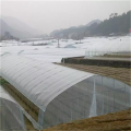 Economica Sheet Plastic Single Tunnel Greenhouse