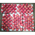 2016 Nuevas Frutas Frescas Red FUJI Apple