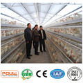 Cage de poulet automatique pour couches Broilers Pullets