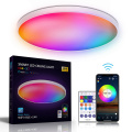 RGBW WIFI Smart LED luz de teto