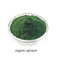 Organic Spinach Powder Factory Supplies High Sales Products
