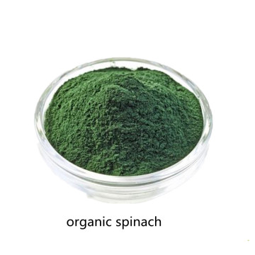 Organic Spinach Powder Factory Supplies High Sales Products