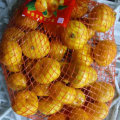 Top Quality of Fresh Honey Baby Mandarin