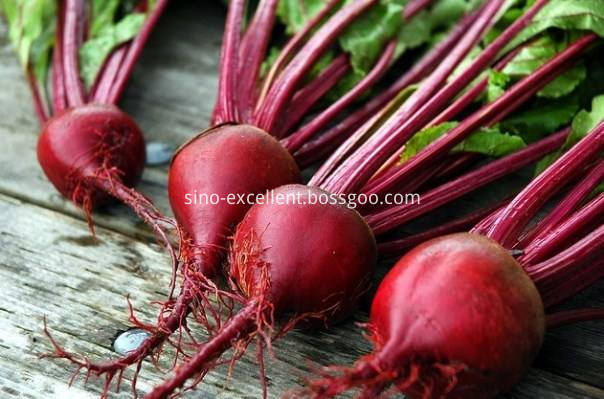 Beet Root