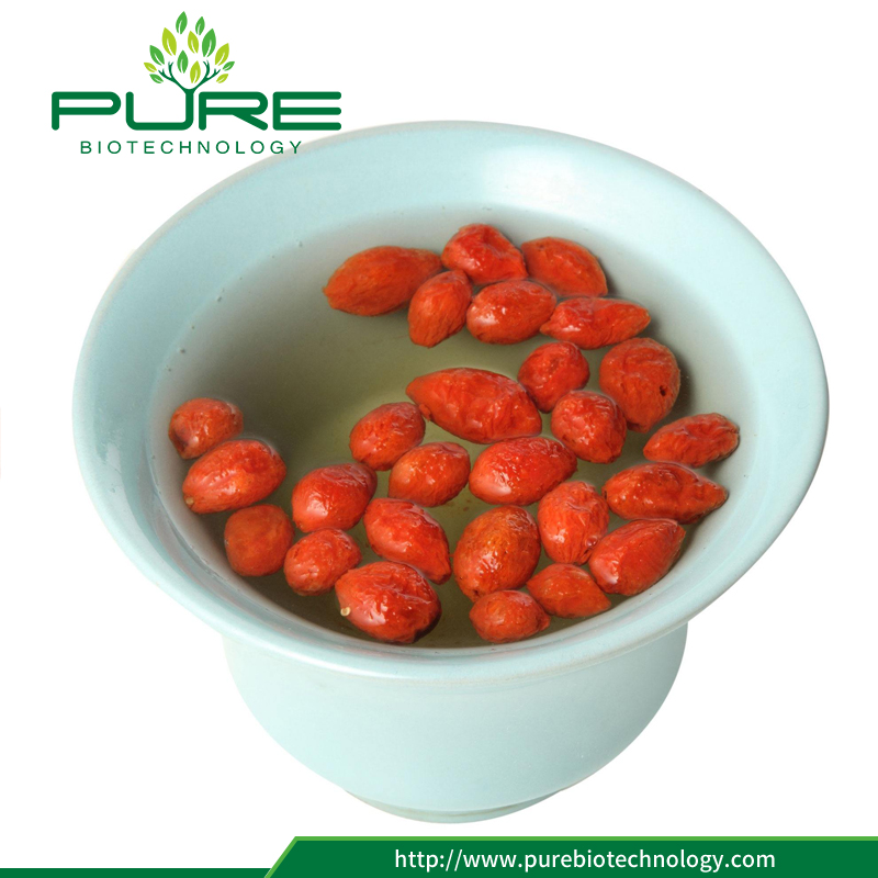 Freeze Dried Goji Berry