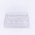 Free Sample Disposable Clear Cosmetic Lipstick Blister Trays