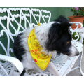 Chien bandana plus ensemble de 5 jouets de chien