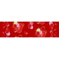 Microfibre Brushed Disperse Printed Bed sheet Fabric