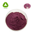 Quanao supply Anti-oxident product Purple cabbage extract Anthocyanin 10% 35% HPLC