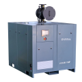 rotary screw vacuum pump system