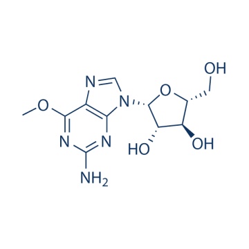 Nelarabine 121032-29-9