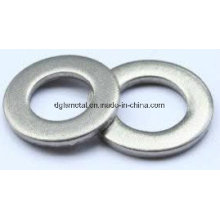 Plain Washer/Flat Washer /Washer with High Quality