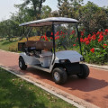 Chariots de golf à 4 places équipés de gaz avec CE
