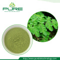 100% Natural Moringa Leaf Powder GMO-Free