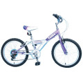 Gear Shift Hot Sales Kids Bike