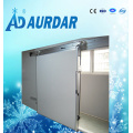 Puerta corrediza más vendida de la sala fría, puerta de la sala de refrigeración para la unidad de la refrigeración con alta calidad