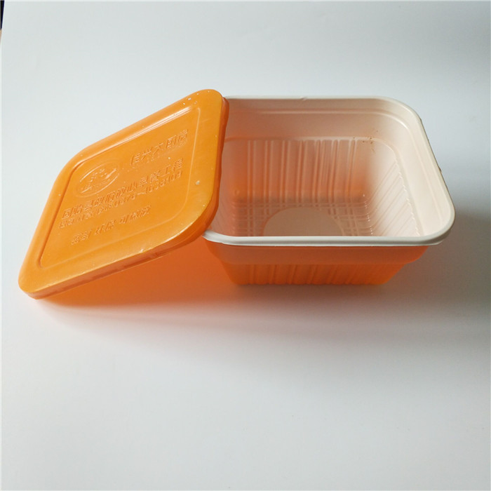 Square Plastic Bento Container