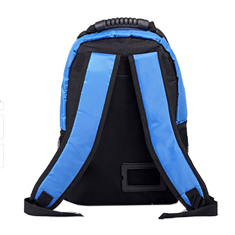 Cooler Bag Backpack