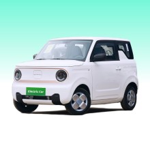 Mini vehículo eléctrico Panda Mini