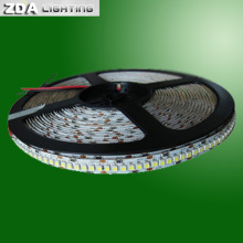 Tira de LED azul de 24 volts SMD 3528