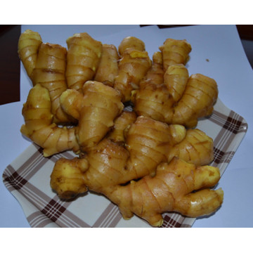 Shandong Fresh Ginger