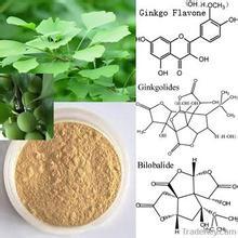 Extracto de Ginkgo Biloba Flavones 24% Lactonas 6% Extracto de Ginkgo Biloba