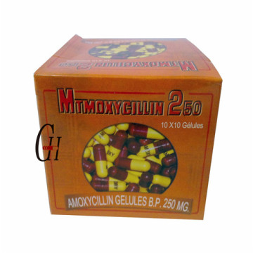 Capsules d&#39;amoxicilline 250mg