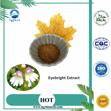 Herbal Extract of Bulk Eyebright Extract Powder