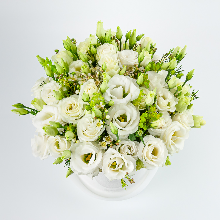 White Flower Box 5 Jpg