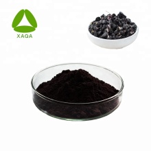 Polvo de extracto de baya de Goji negro natural 100% natural
