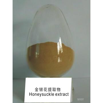 Chlorogenic Acid/Honeysuchle Flowers Extract /Lonicera Japonica Extract