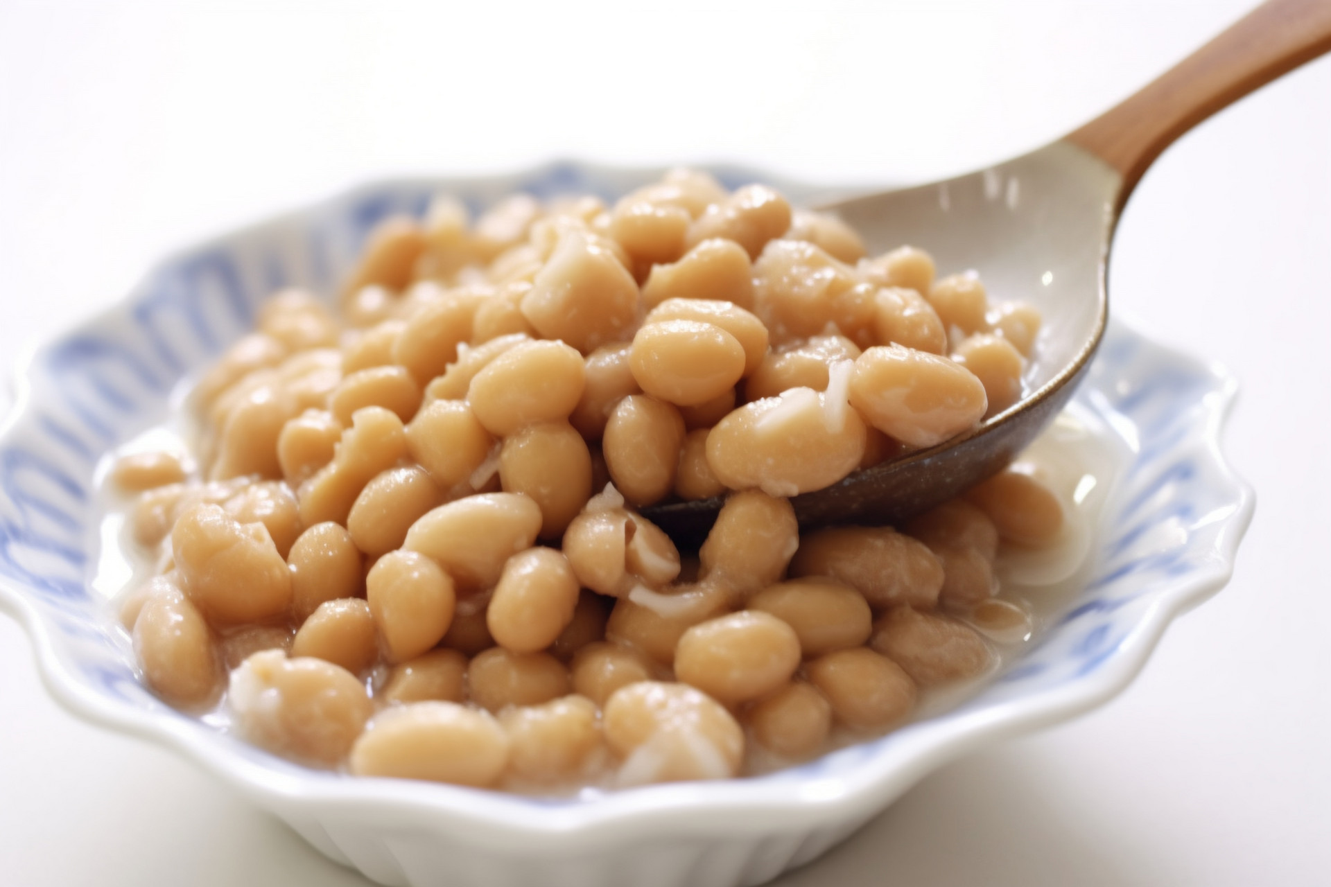 Nattokinase (1) Nattokinase (1)