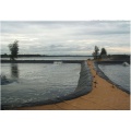 Productos Geosintéticos Reproducción Piscicultura Piscinas Lotus Pond HDPE Geomembrane