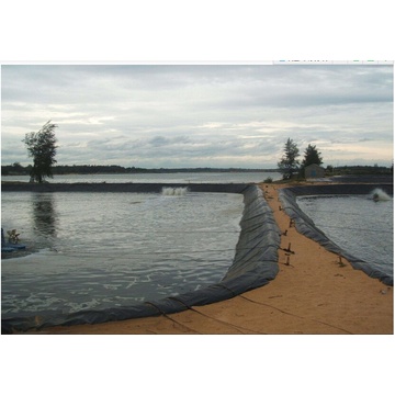 Productos Geosintéticos Reproducción Piscicultura Piscinas Lotus Pond HDPE Geomembrane