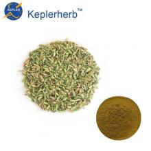 Fennel seed extract powder