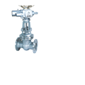 Electric Stainless Wedge Gate Valve